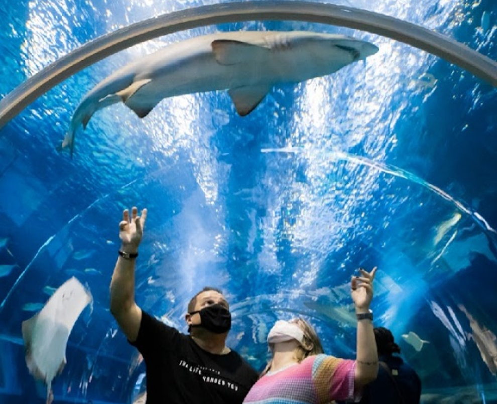 WhatsApp Image 2025-08-12 at 17.52.30 (3)